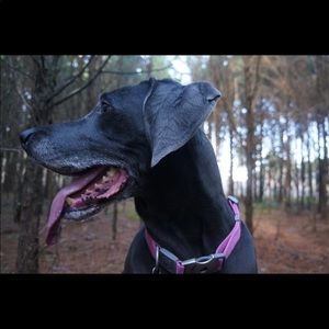 Meet your Posher, Conner